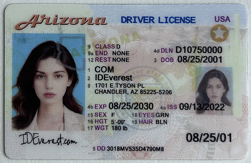 Arizona Fake IDS